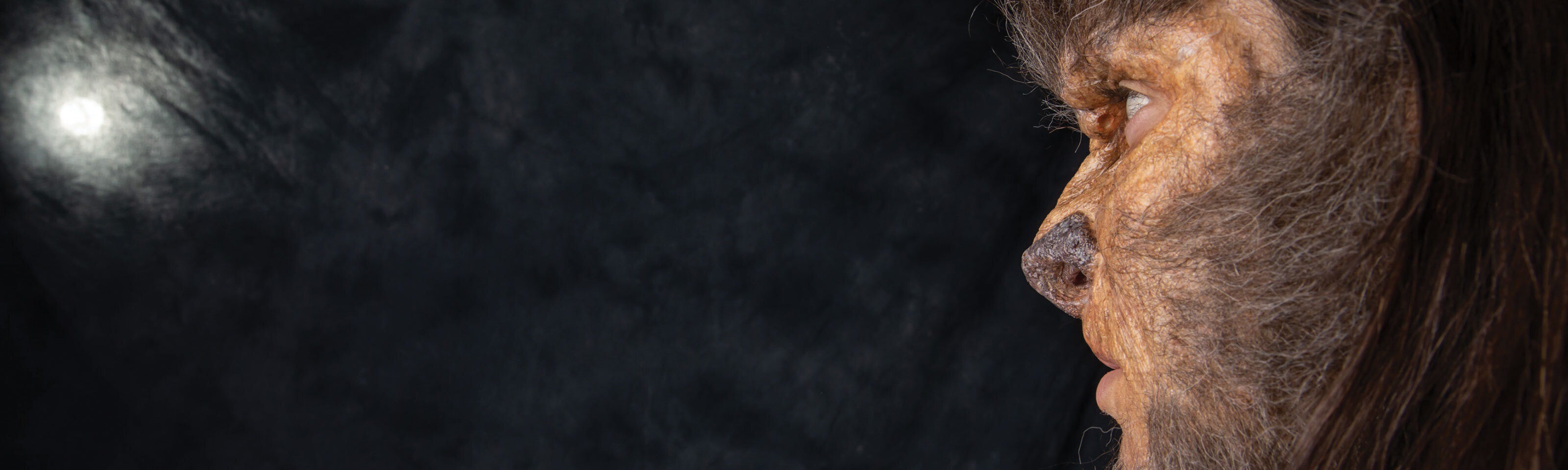  A werewolf created with special makeup applications on the model.