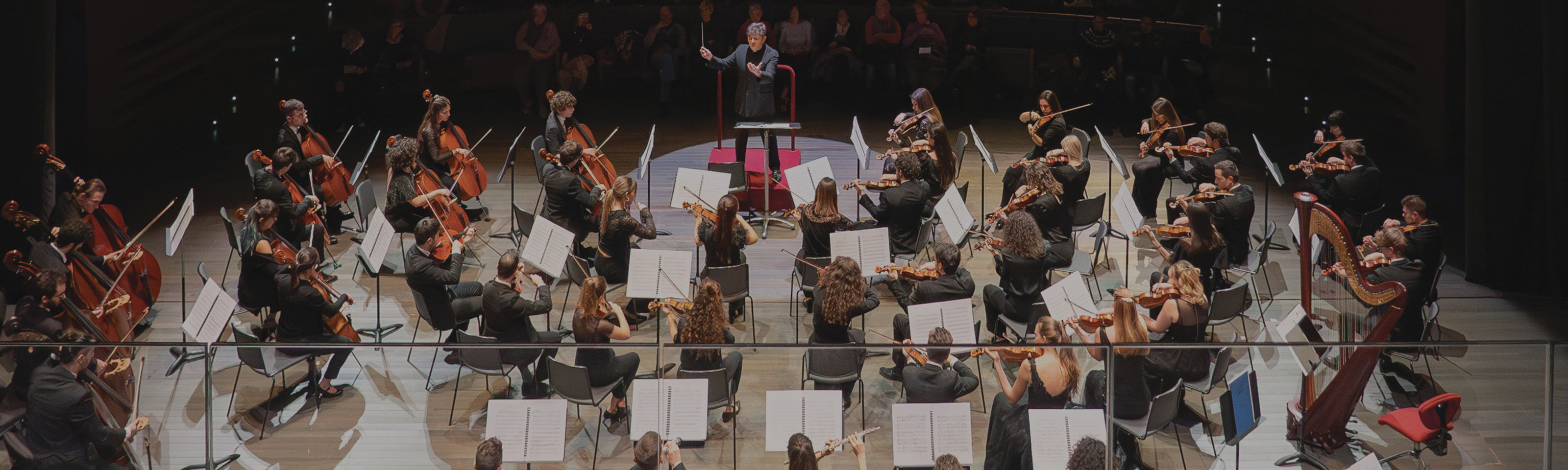 a full orchestra with conductor during a concert