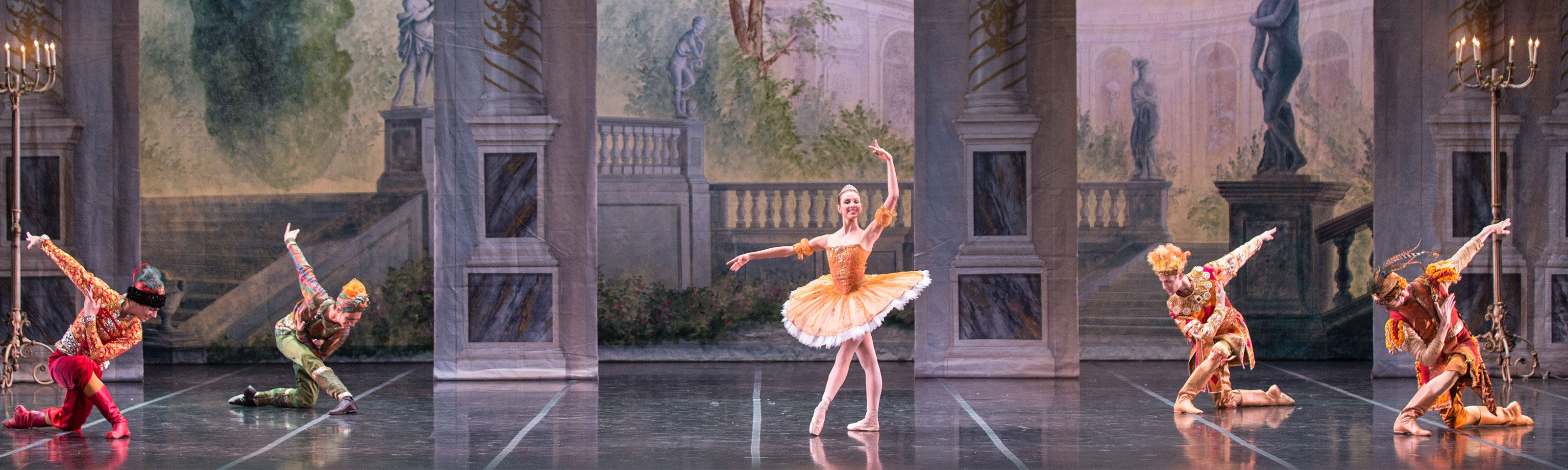 The Ballet School in Sleeping Beauty